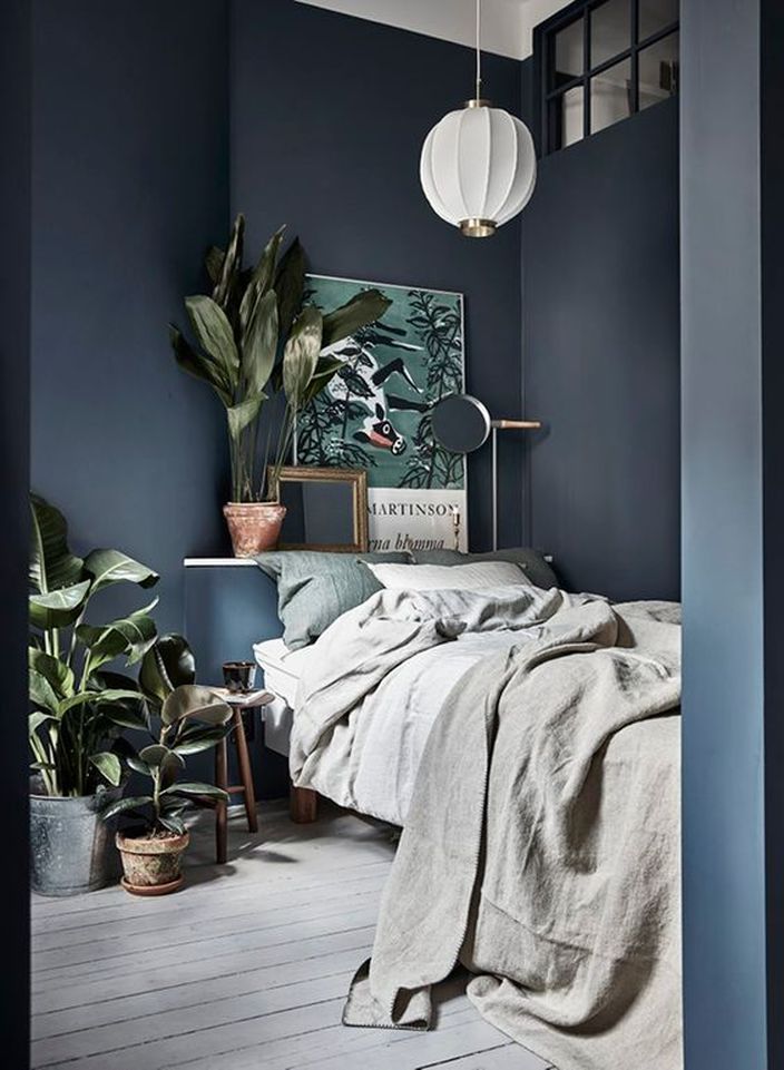 chambre bleu plantes